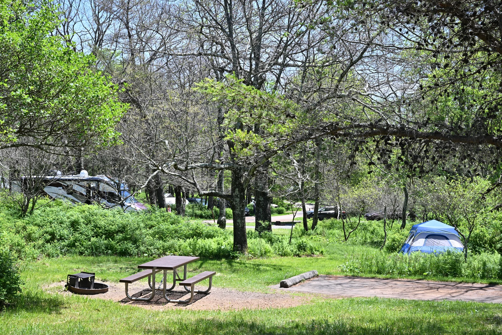 Emplacement aménagé à Big Meadows : aire de stationnement, table et zone herbeuse pour une tente