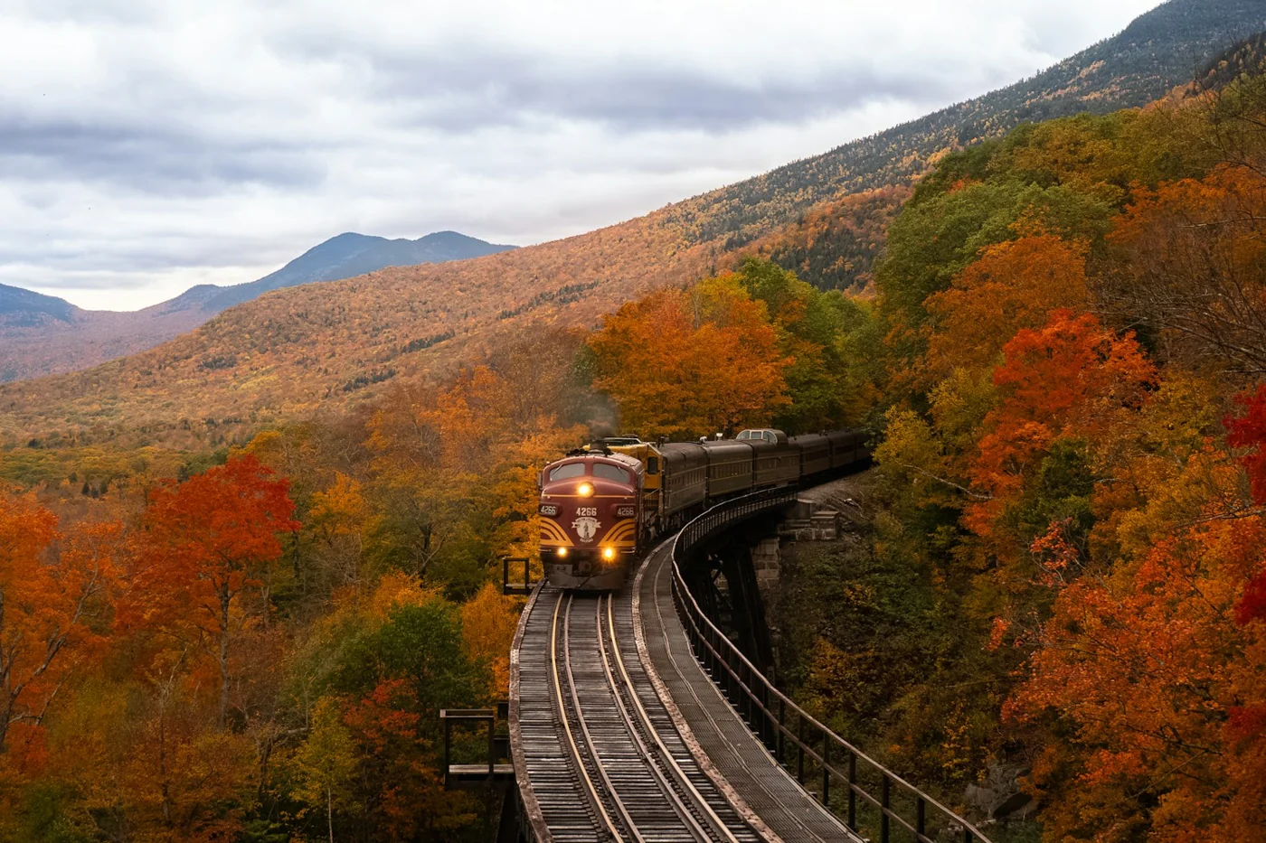 Un train traverse une forêt aux couleurs de l’automne